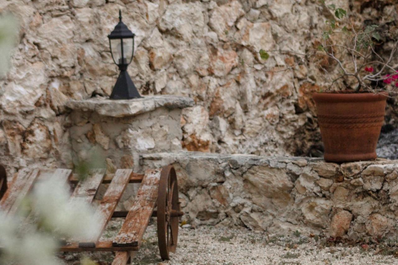 فندق Casa Vicenta إسامال المظهر الخارجي الصورة